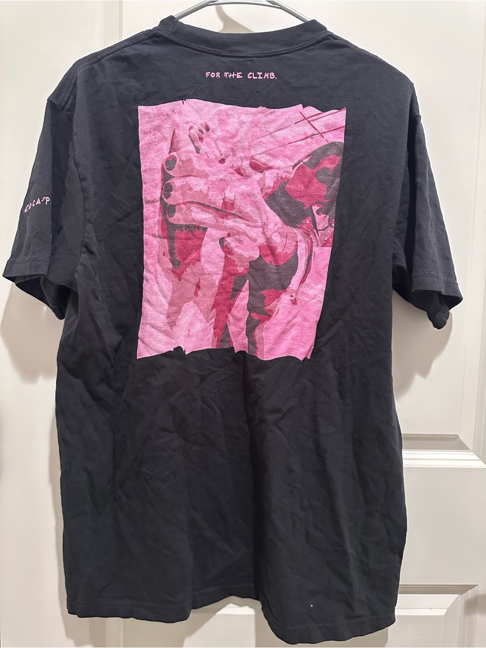 Comfort Colors Black Tee with Pink Graphic Back Print